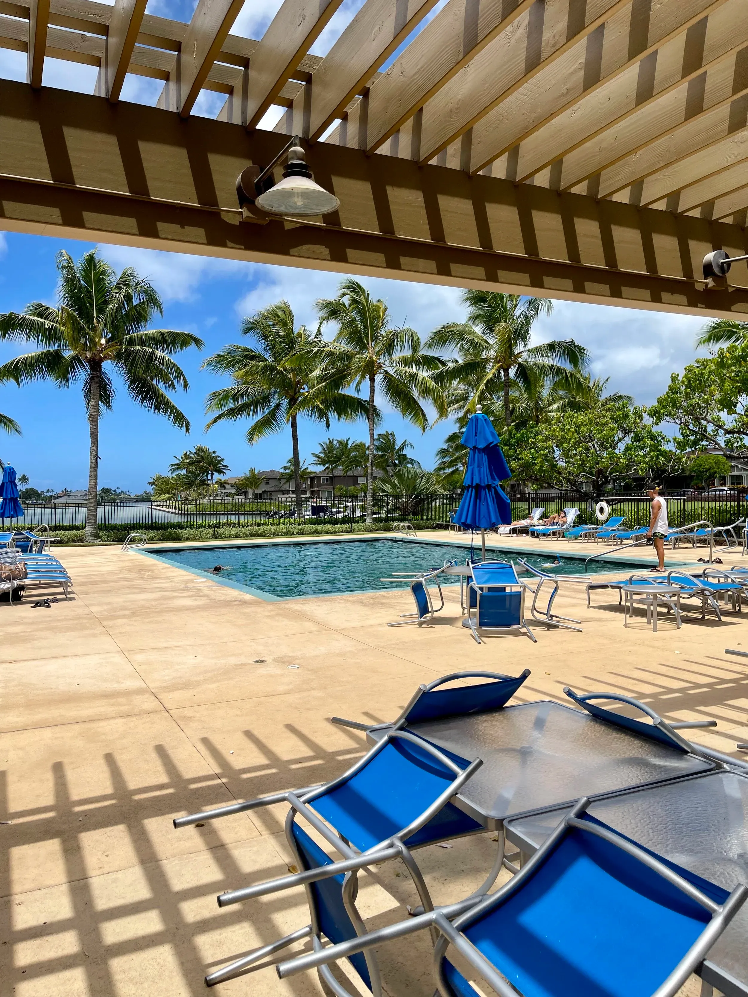 Pool deck with palm trees