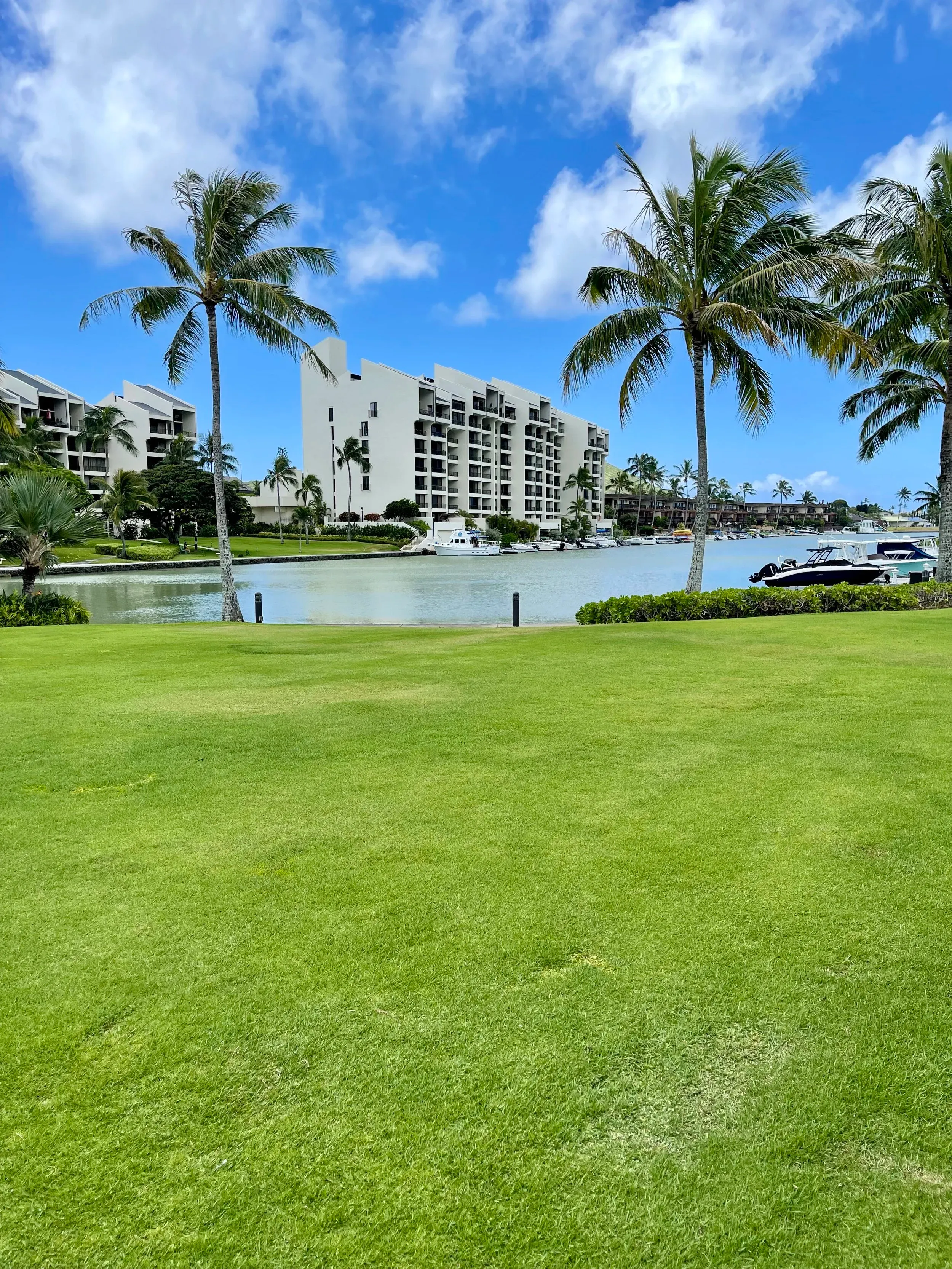 Lawn along the marina